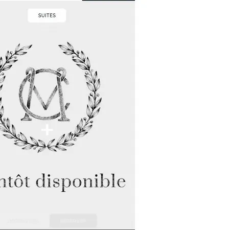 Monte Cristo 4* 파리